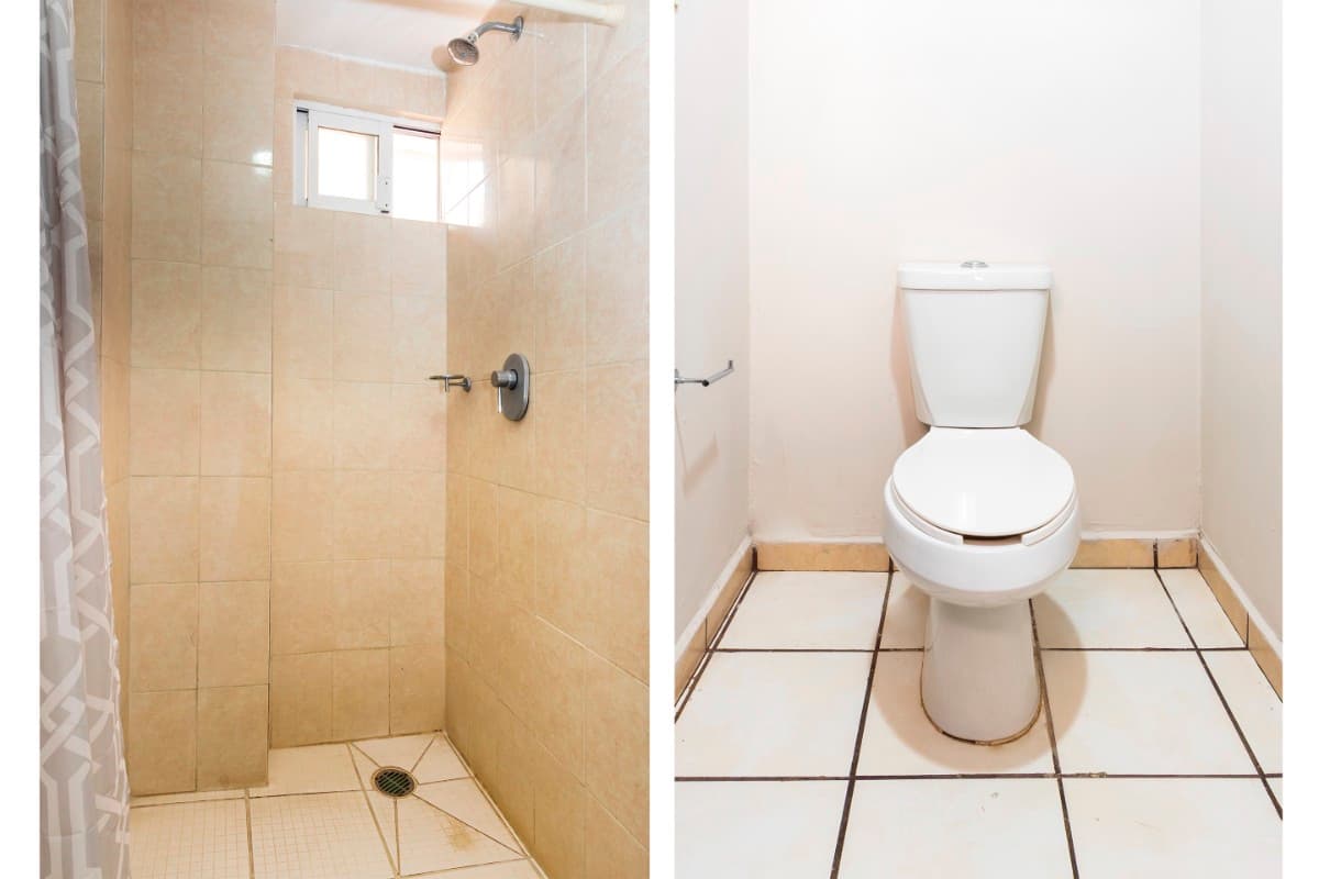 Estandar King  imagen 2